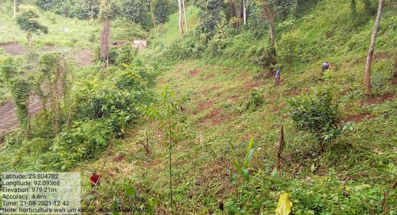 C:\Users\Lavinia Pde\Downloads\WhatsApp Image 2023-02-16 at 14.00.33 (1).jpeg